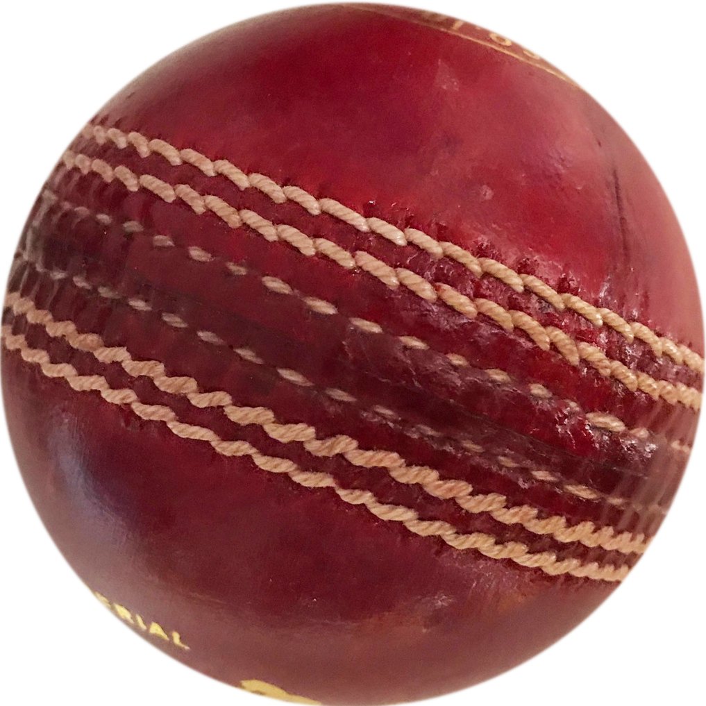 HRS Practice Red Leather Cricket Ball